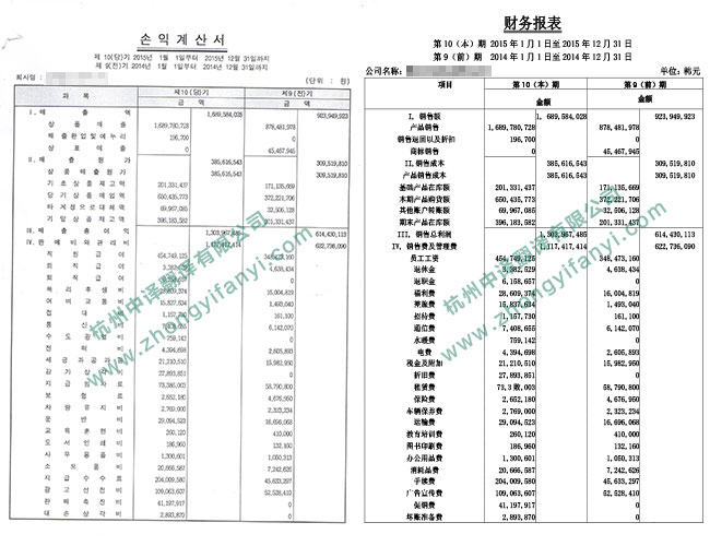 中譯杭州翻譯公司企業(yè)財(cái)務(wù)狀況報表翻譯件模板.jpg